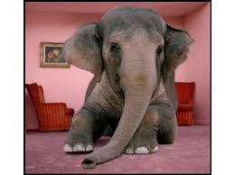 fear in the public square--Elephant in room